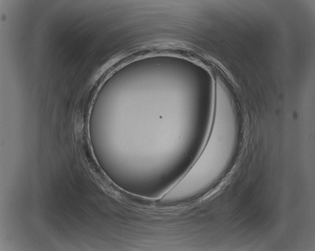X0000081371065200701111101