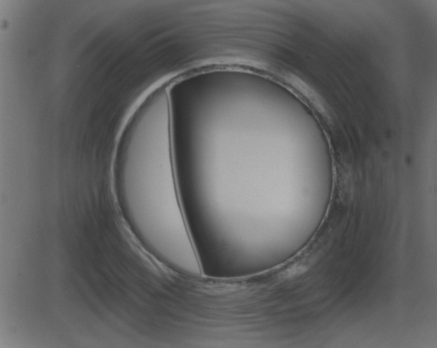 X0000081371076200701111101
