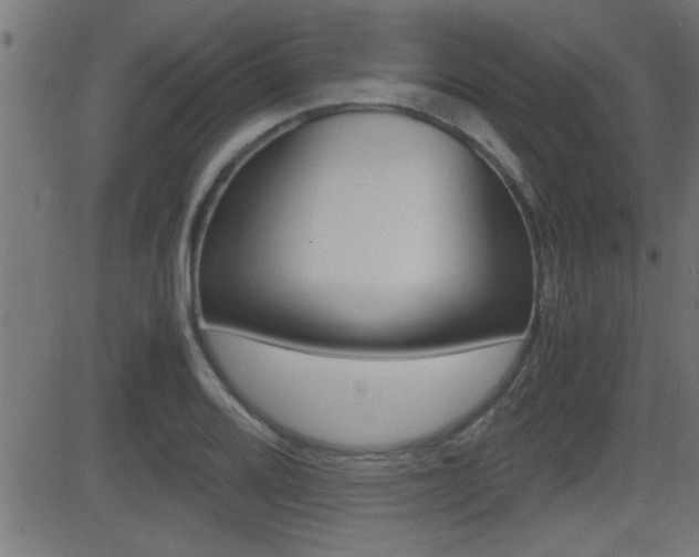 X0000081371080200701111101