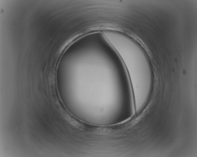 X0000081371081200701111101