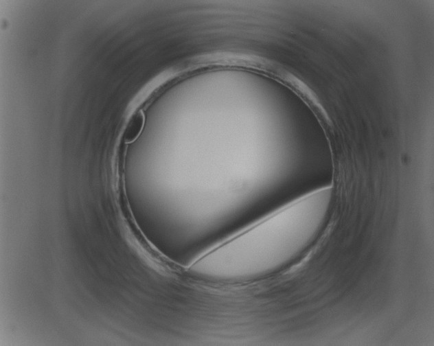 X0000081371082200701111101