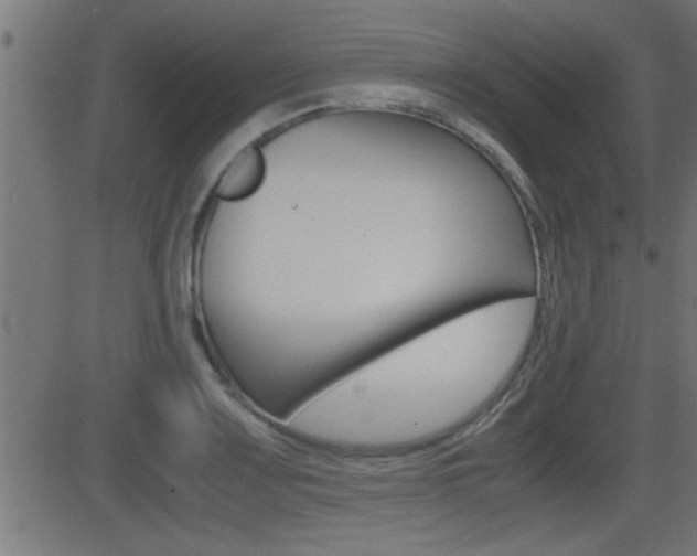 X0000081371083200701111101