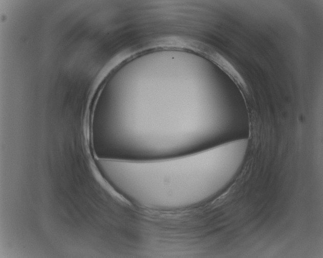 X0000081371084200701111101
