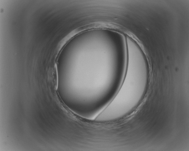 X0000081371089200701111100