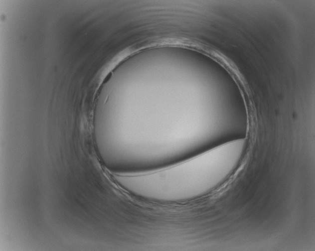 X0000081371097200701111100