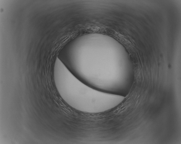 X0000081371105200701111059