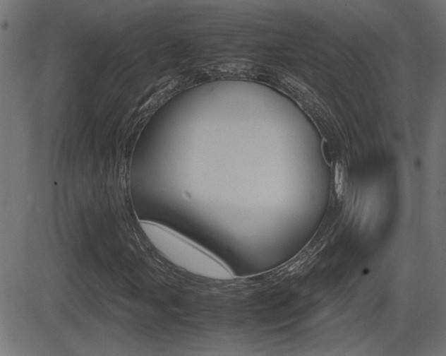 X0000081371107200701111059