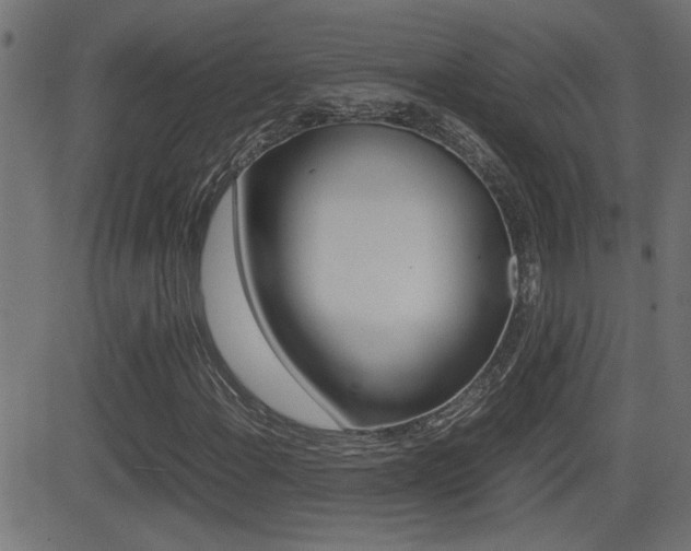 X0000081371108200701111059