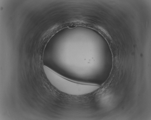 X0000081371111200701111100