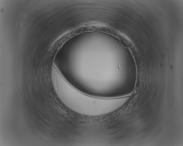 X0000081371112200701111100