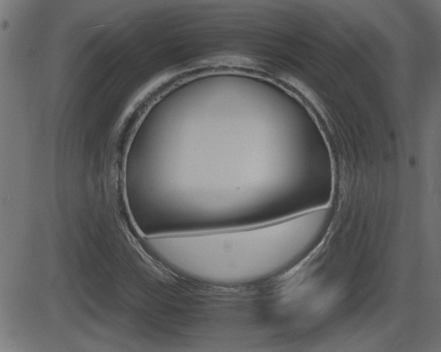 X0000081371115200701111100
