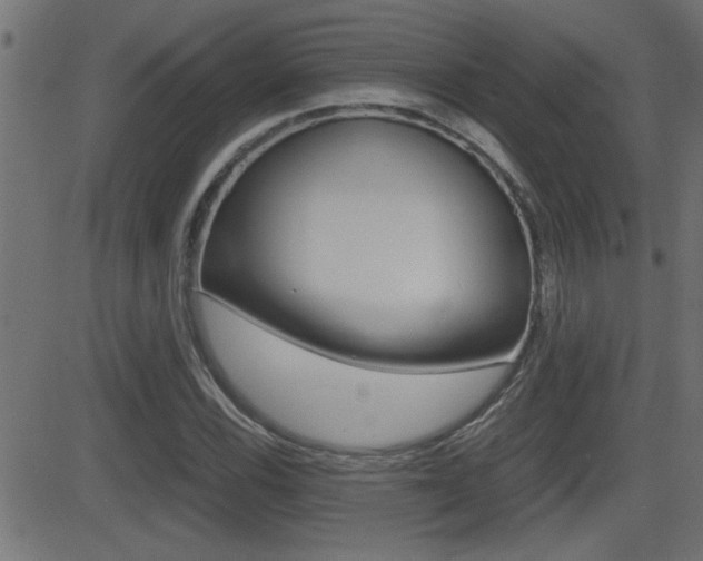 X0000081371116200701111100