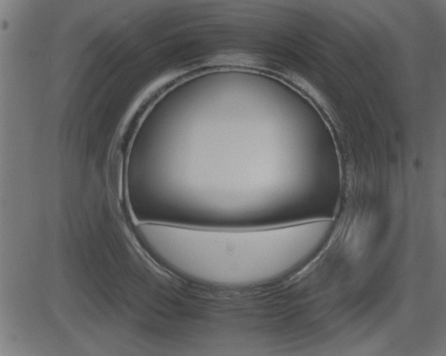 X0000081371123200701111100