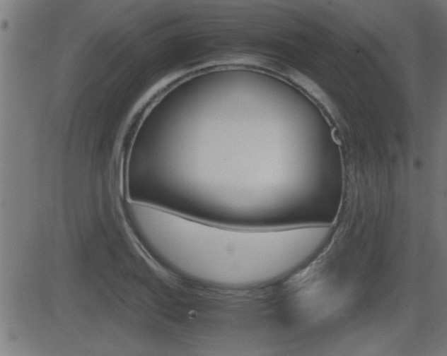 X0000081371127200701111100