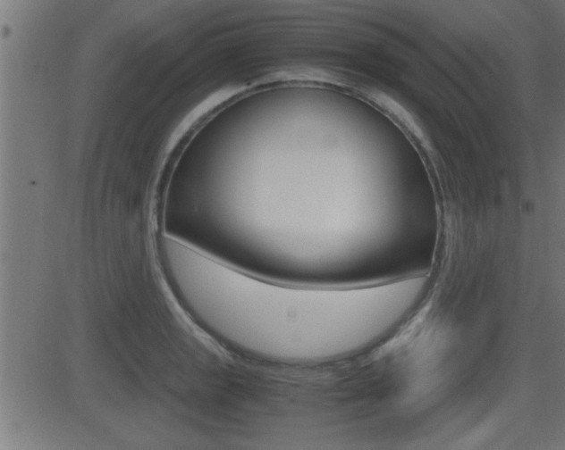 X0000081371133200701111100