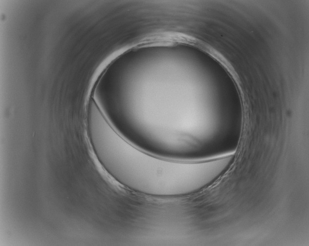 X0000081371152200701111100