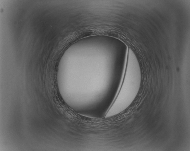 X0000081371153200701111059