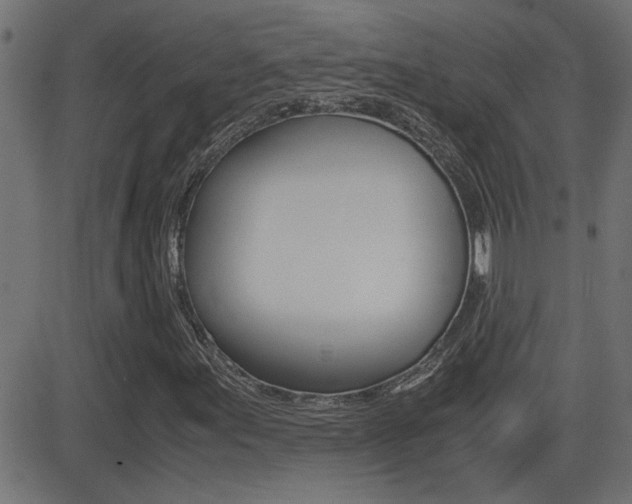X0000081371155200701111059