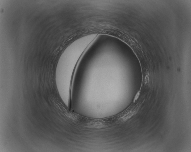X0000081371156200701111059