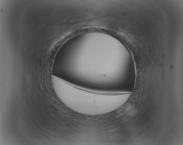 X0000081371159200701111059