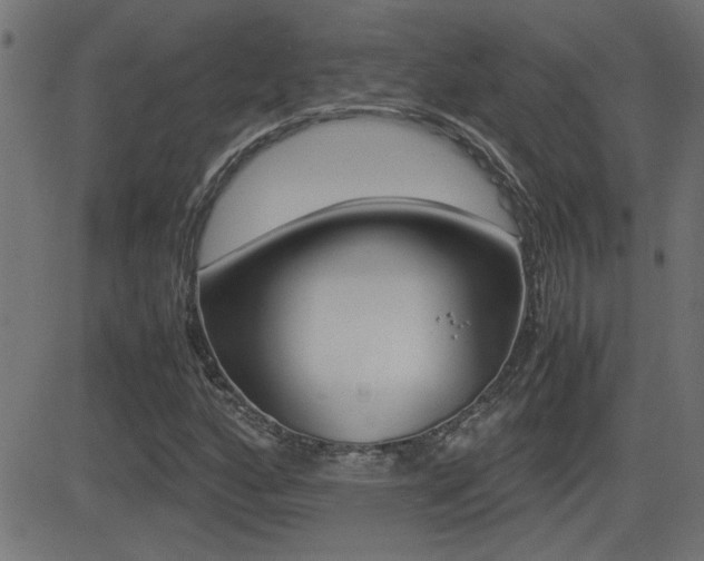 X0000081371160200701111059