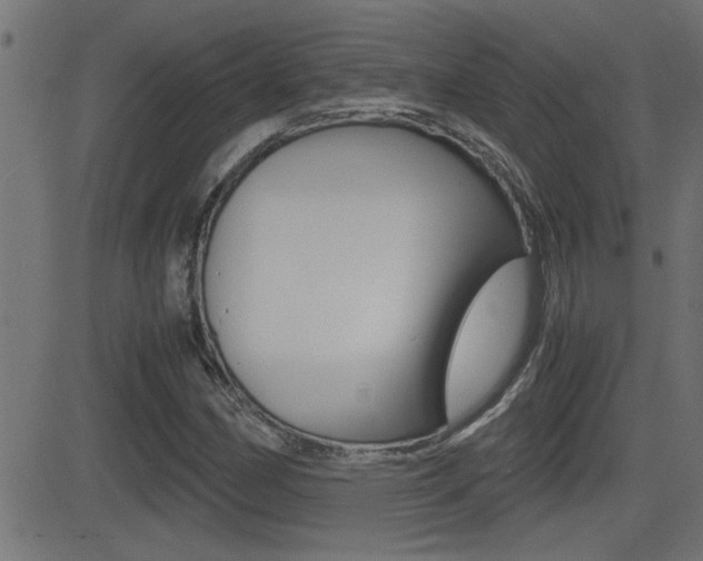 X0000081371162200701111059