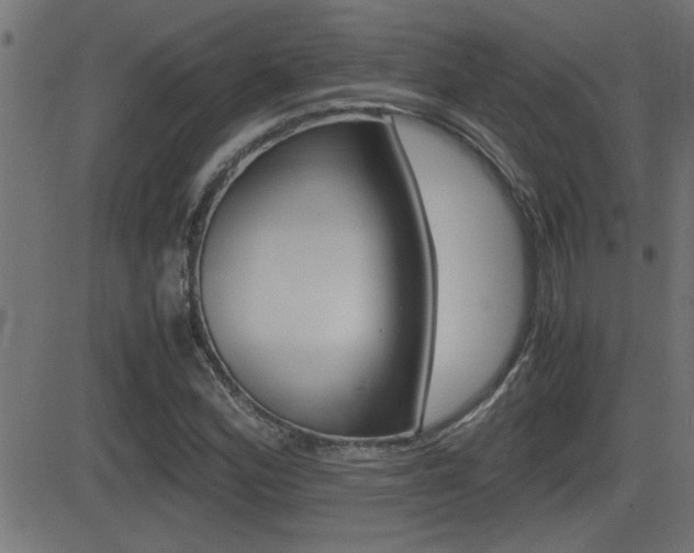 X0000081371164200701111059