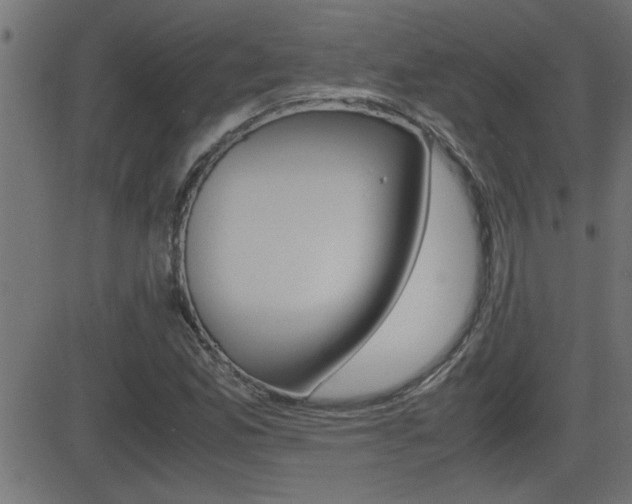 X0000081371165200701111059