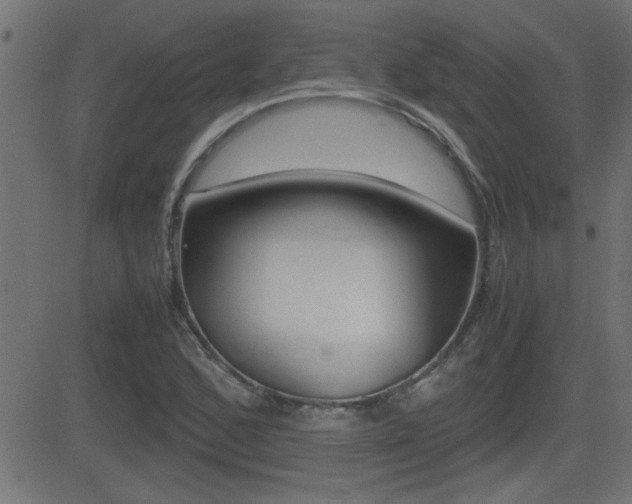 X0000081371168200701111059