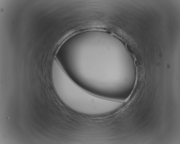 X0000081371169200701111059