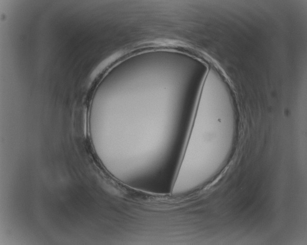 X0000081371171200701111059