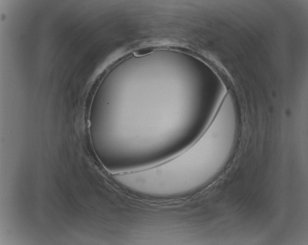 X0000081371173200701111059