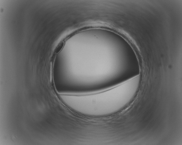 X0000081371175200701111059