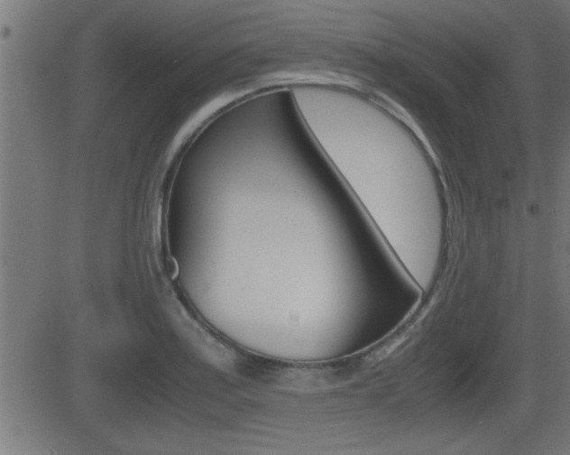 X0000081371179200701111059