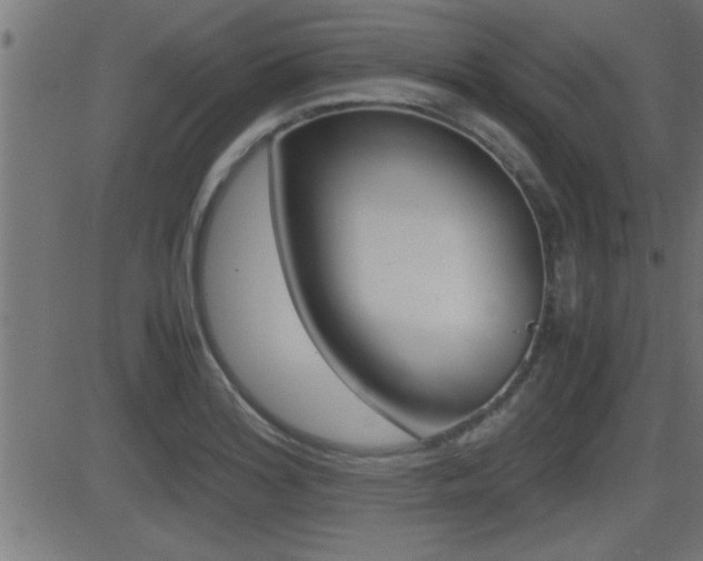 X0000081371180200701111059