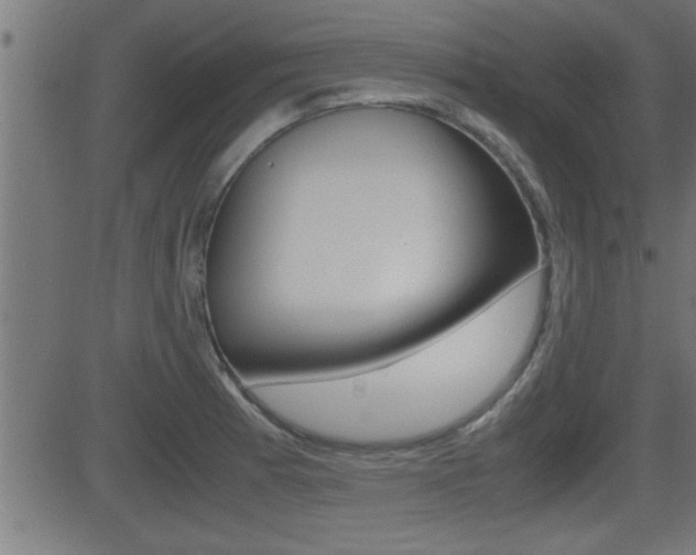 X0000081371185200701111059