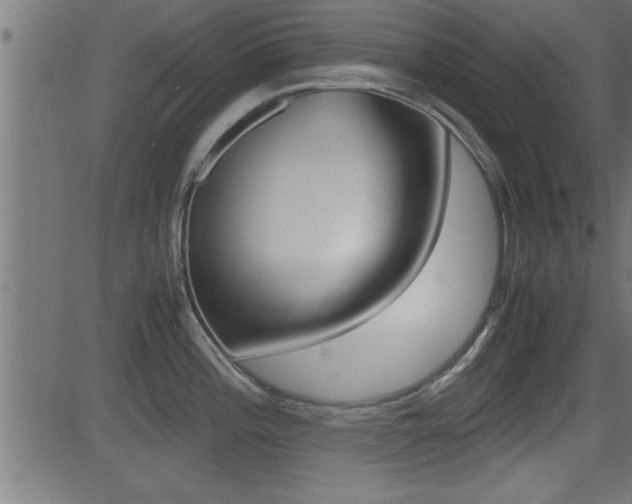 X0000081371196200701111059
