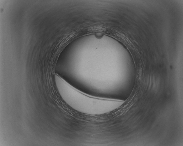 X0000081371201200701111058
