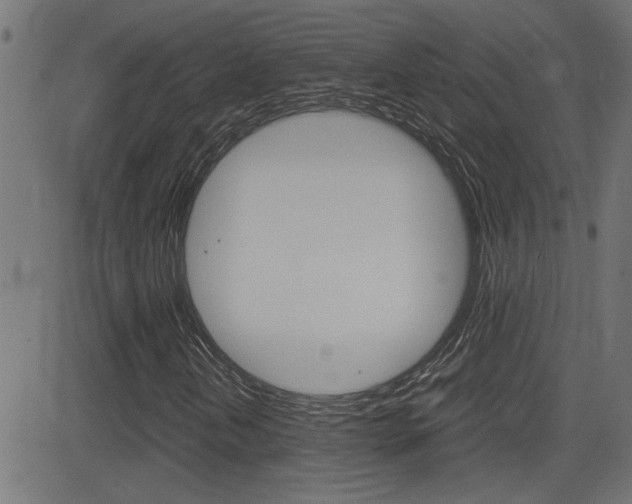 X0000081371202200701111058
