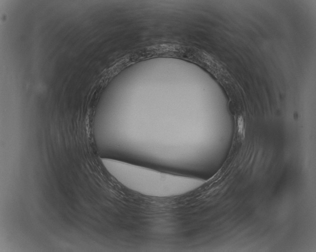 X0000081371203200701111058