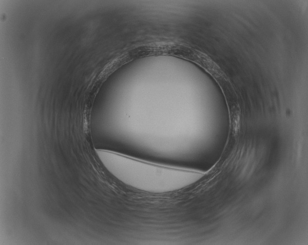 X0000081371204200701111058