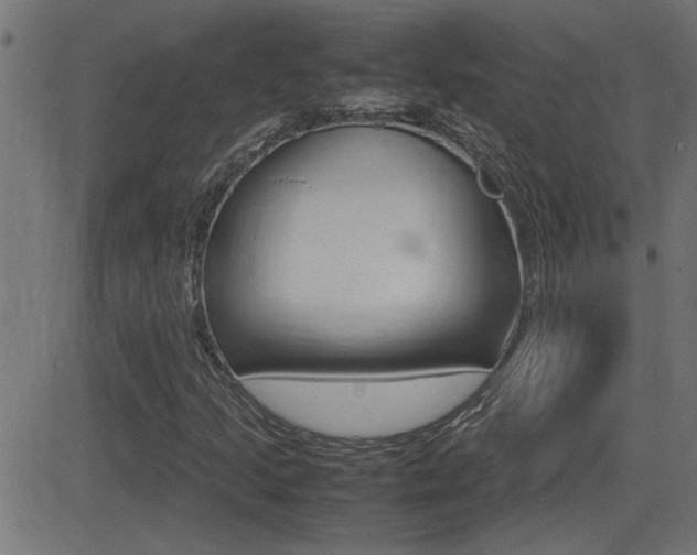 X0000081371205200701111058