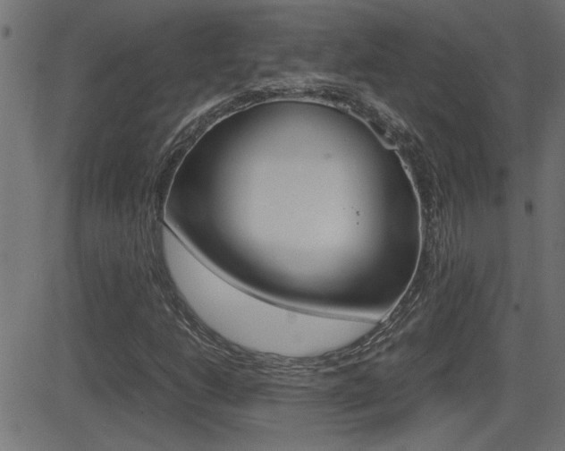X0000081371206200701111058