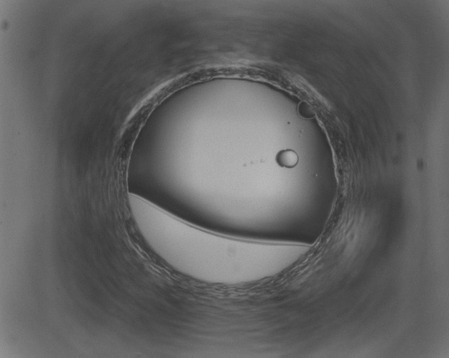 X0000081371208200701111058