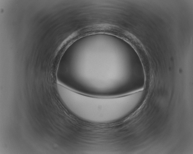 X0000081371210200701111058