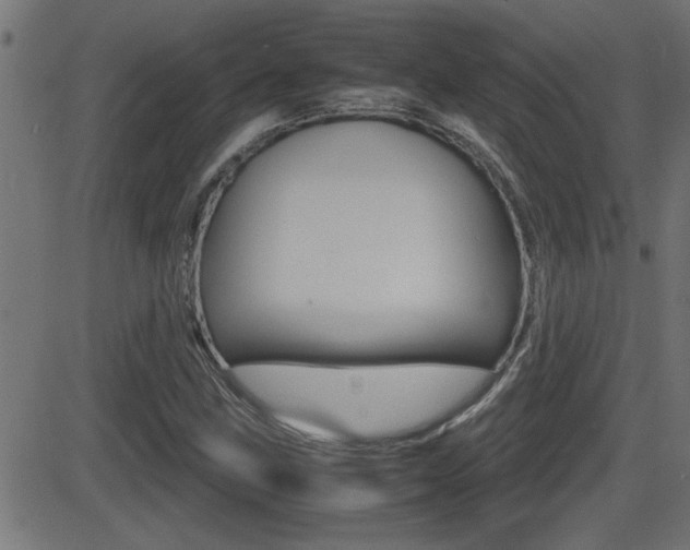 X0000081371211200701111058
