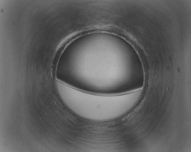 X0000081371214200701111058