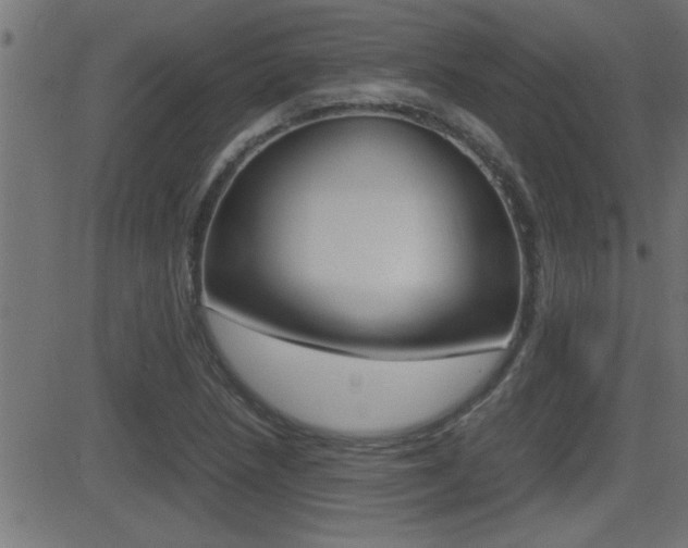 X0000081371218200701111058