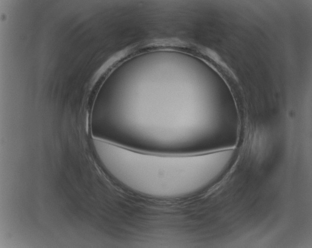 X0000081371221200701111058