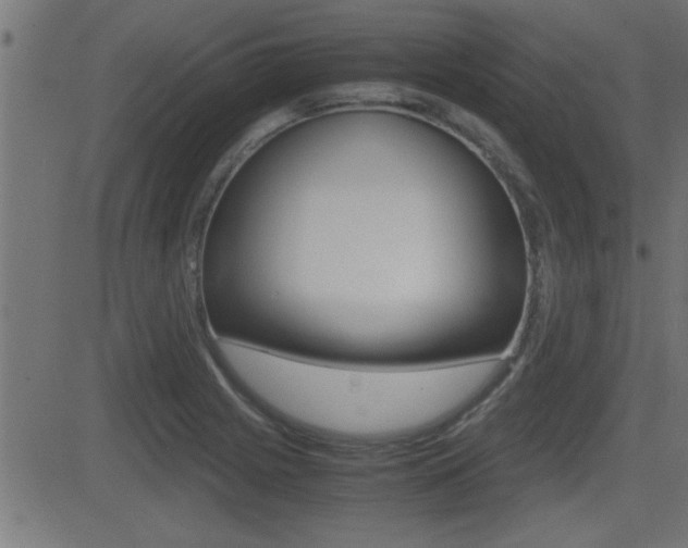 X0000081371225200701111058